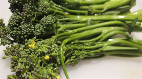 vegetables that are similar to broccoli